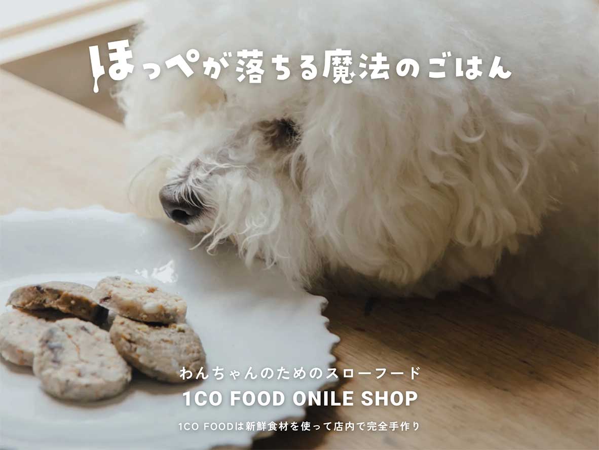 ほっぺが落ちる魔法のごはん