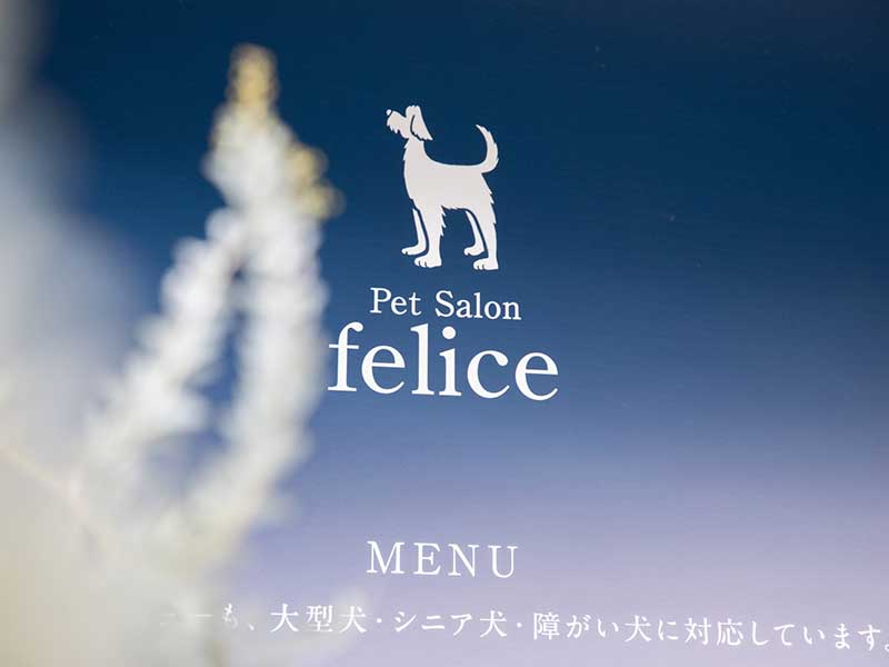 フェリーチェ