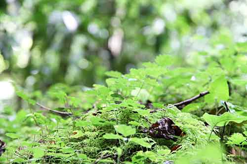 バックストーリージェイピー