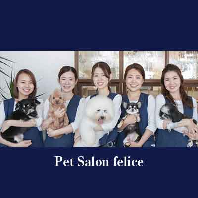 ペットサロンフェリーチェ