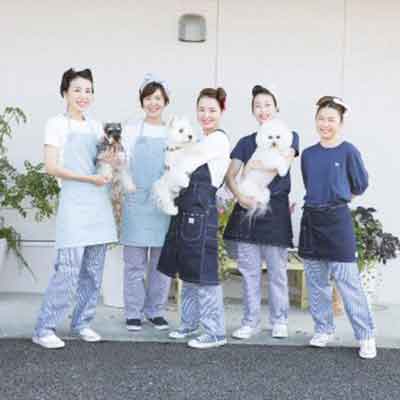 犬の美容室トップ
