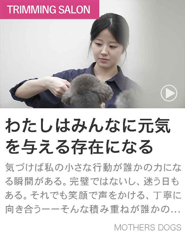 マザーズドッグス