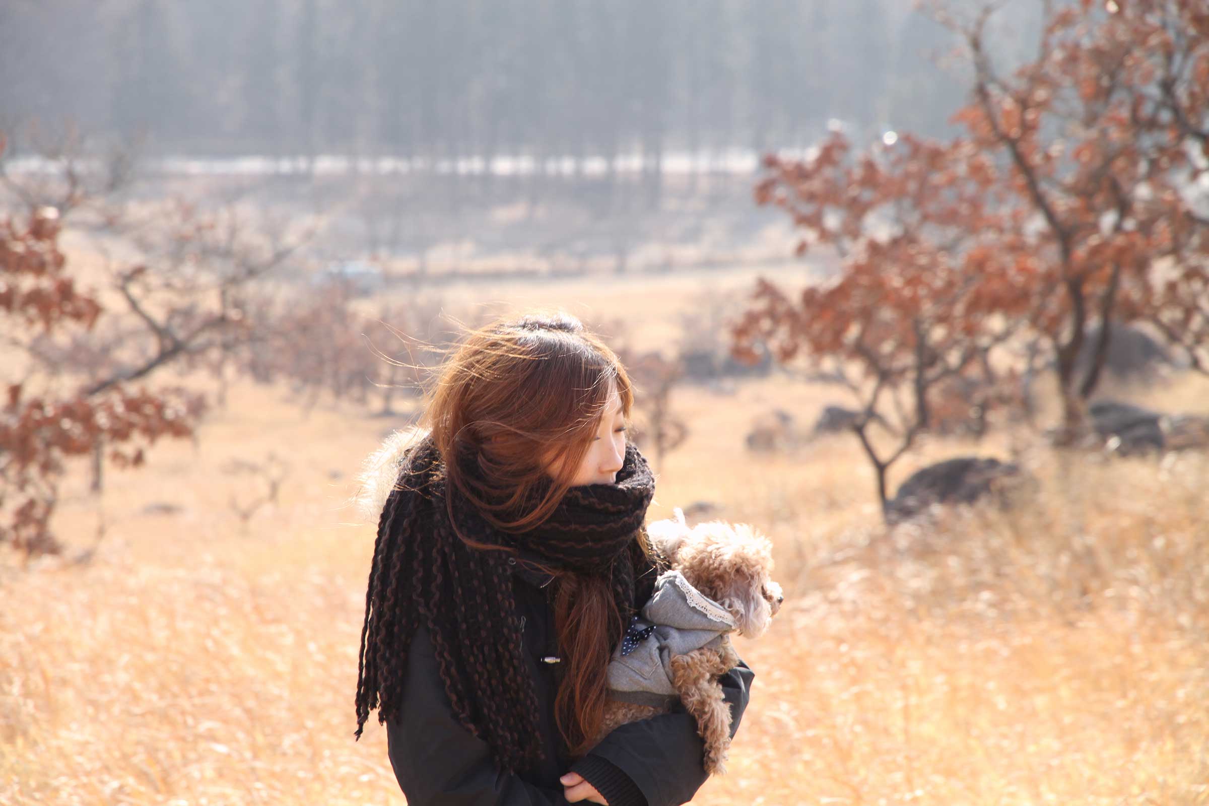 クロムエルシェイク