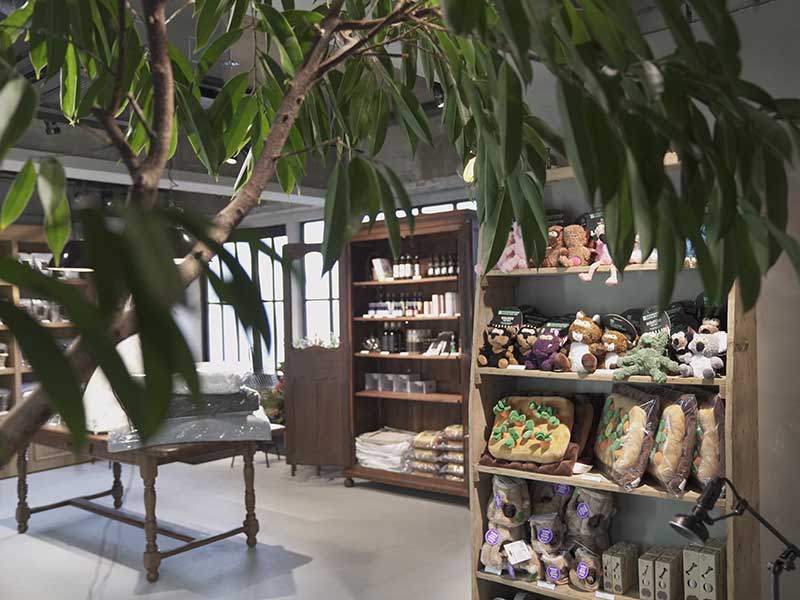 ウルス 犬 生食