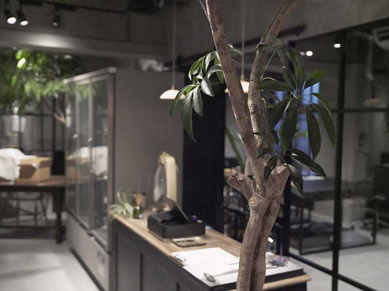 ウルス 犬 生食