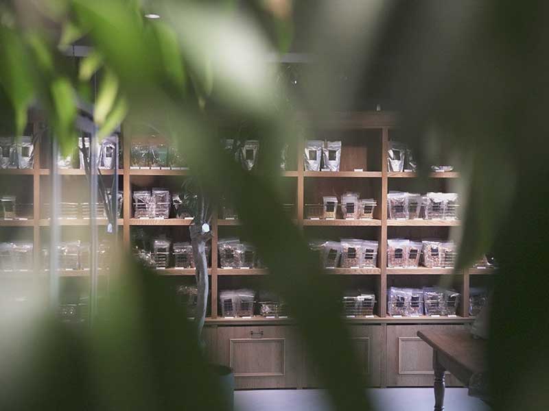 ウルス 犬 生食