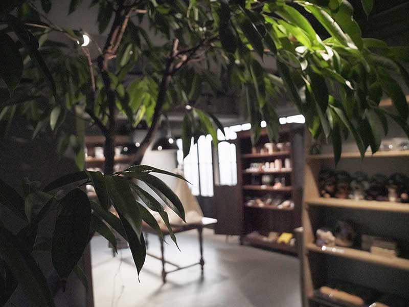 ウルス 犬 生食