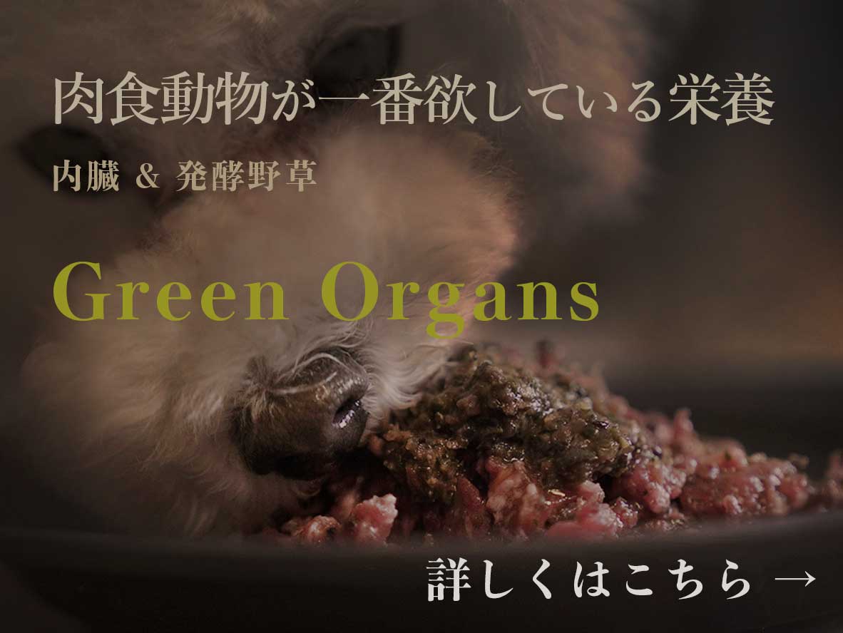 グリーンオーガンズ ウルス