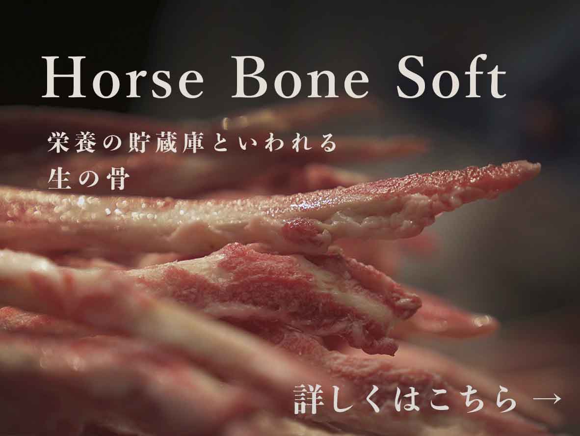 ホースボーンソフト ウルス