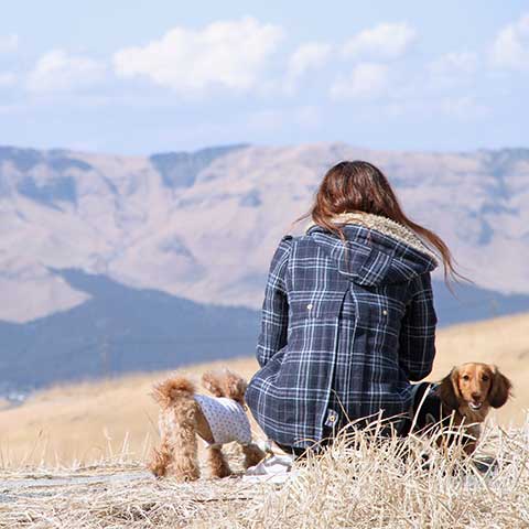 クロムエルシェイク クロムの夢
