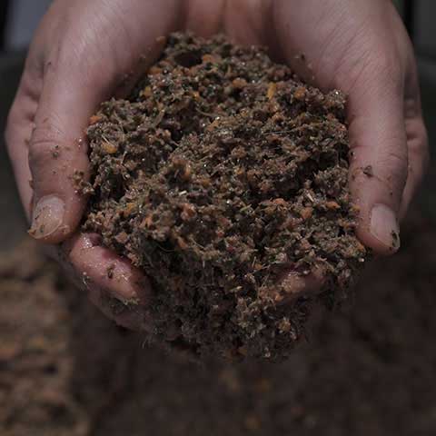 ウルスの発酵野草