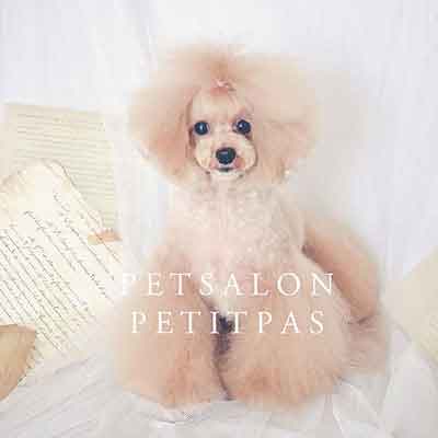 クロムエルシェイクパートナーショップ プティパ