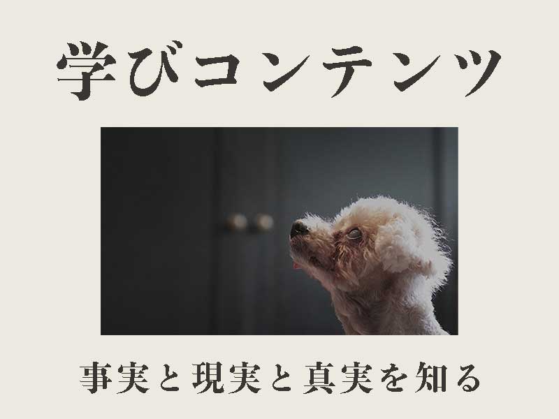 ウルスホースボーンソフト 犬 生食