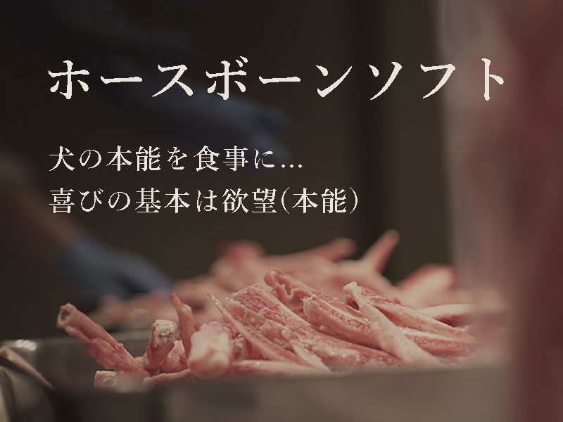 ウルス 犬 生食