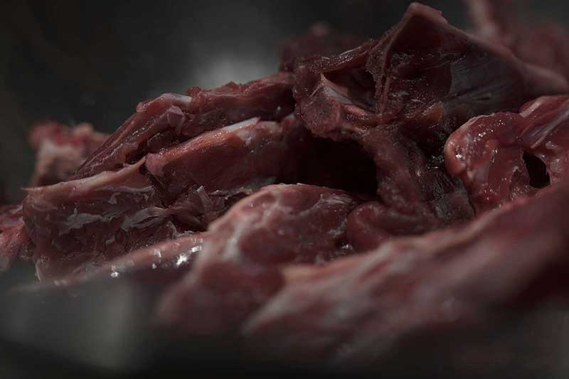 犬の食事　生食　ウルス