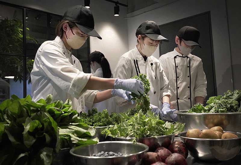 犬の食事　生食　ウルス