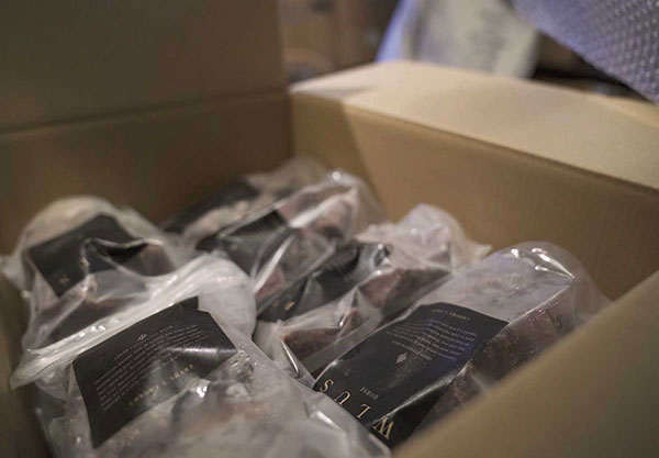 犬の食事　生食　ウルス