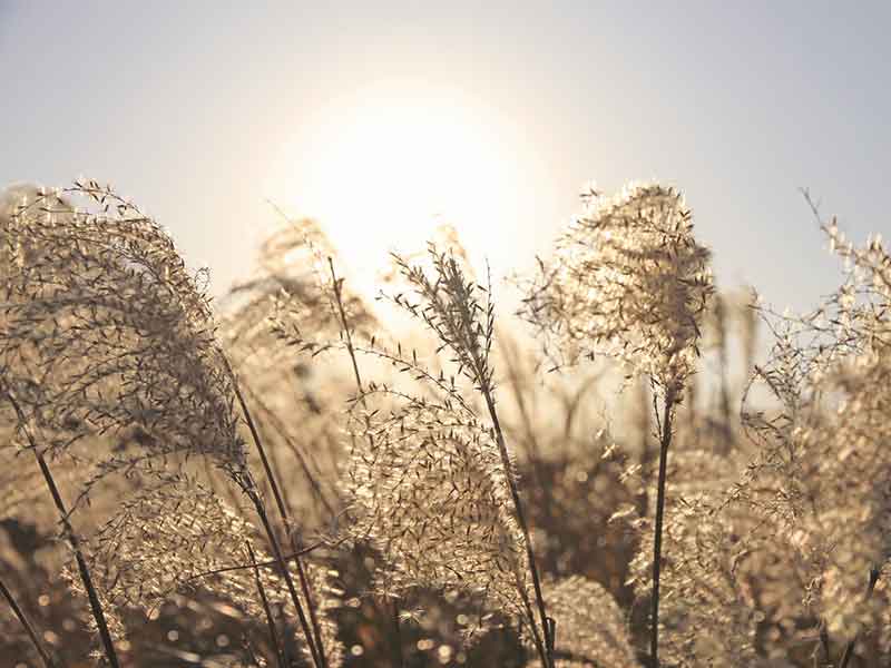 バックストーリージェイピー