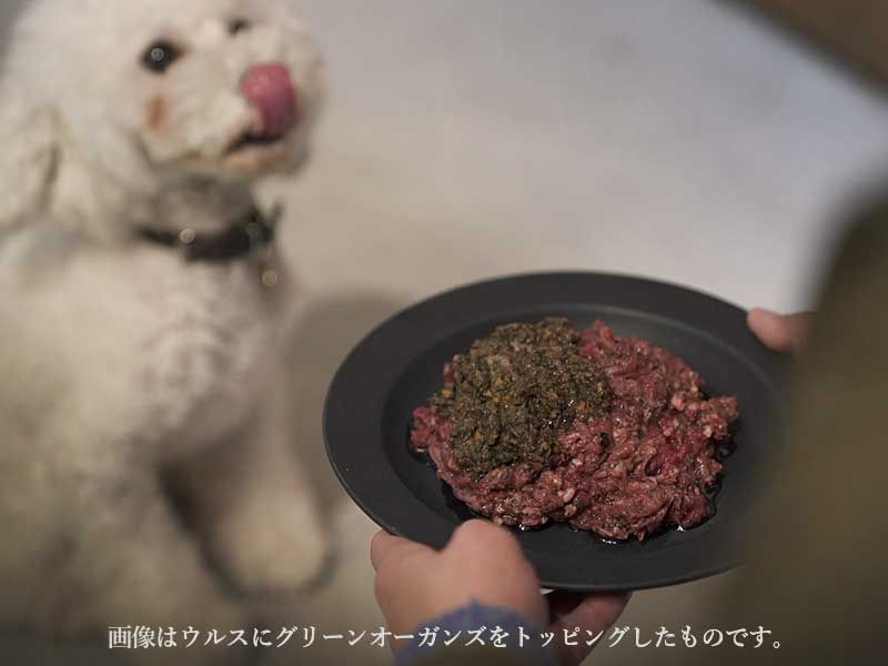 グリーンオーガンズ