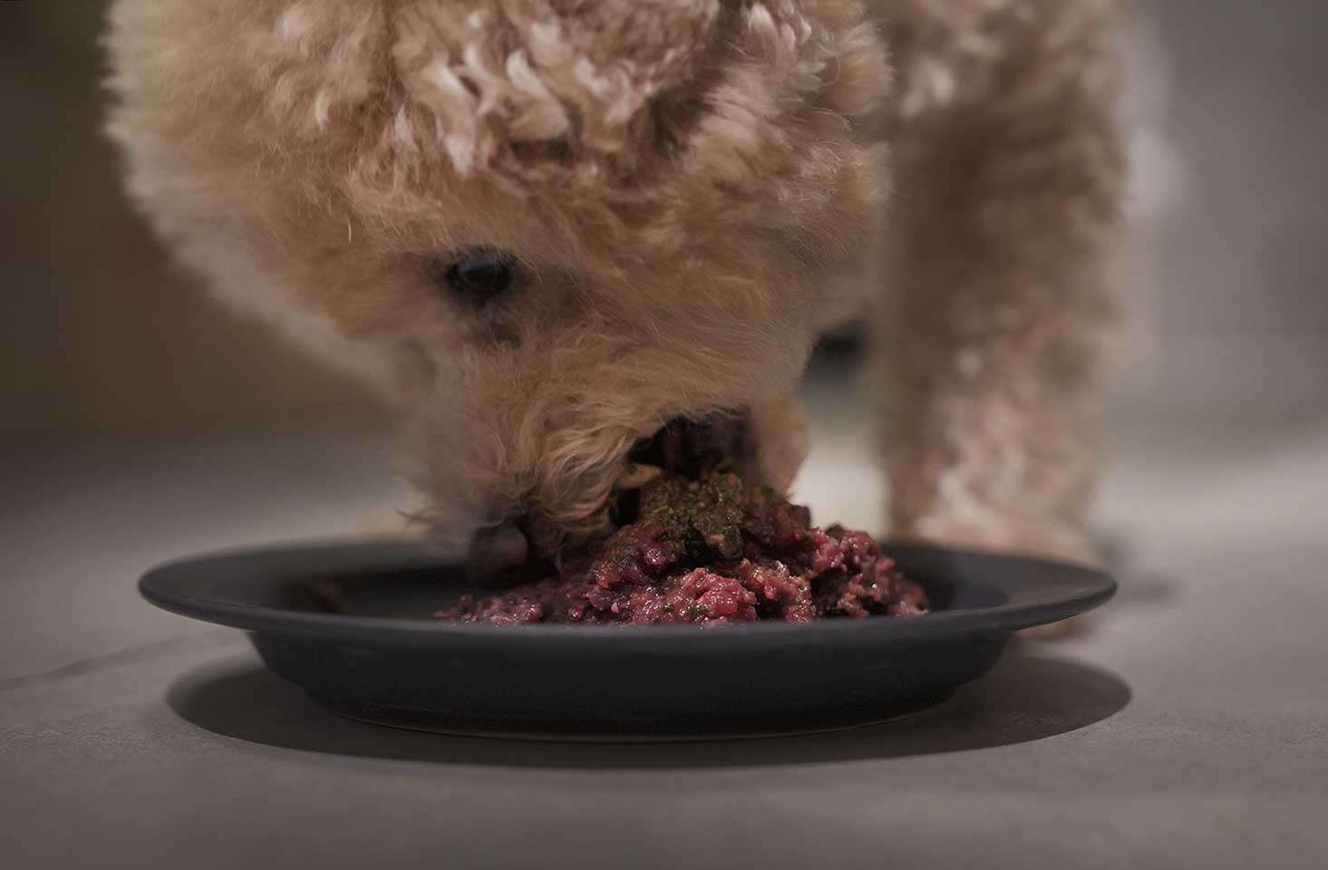 犬の本来の食事 グリーンオーガンズ