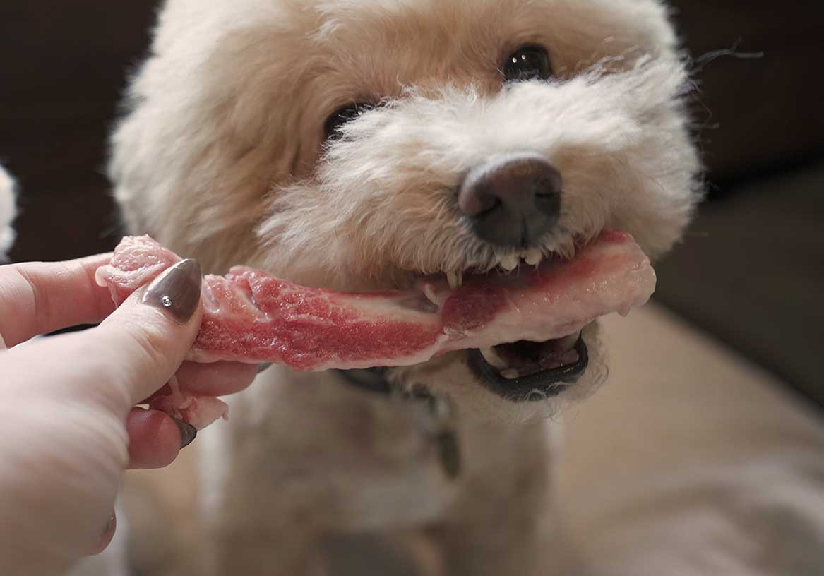 ホースボーンソフト