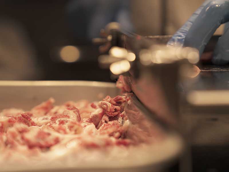 犬 自然食　ホースボーンソフト ウルス