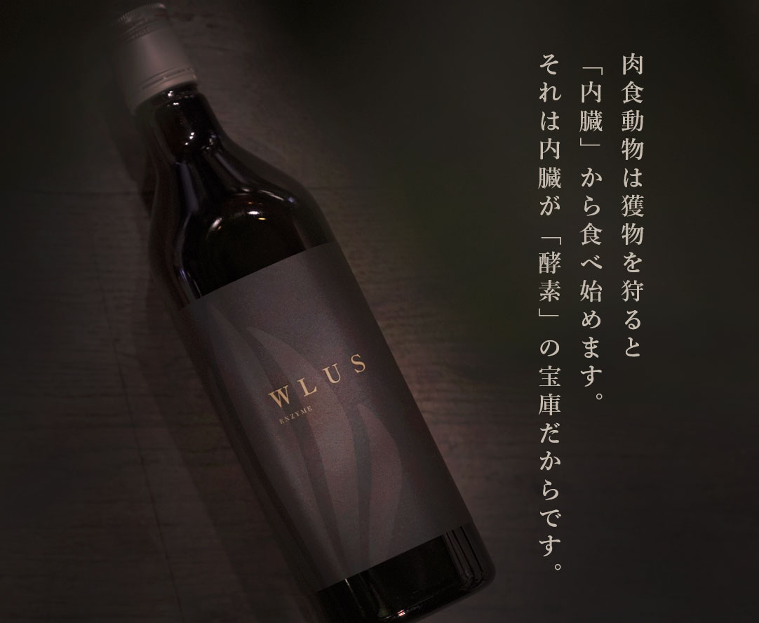 犬の酵素ウルス