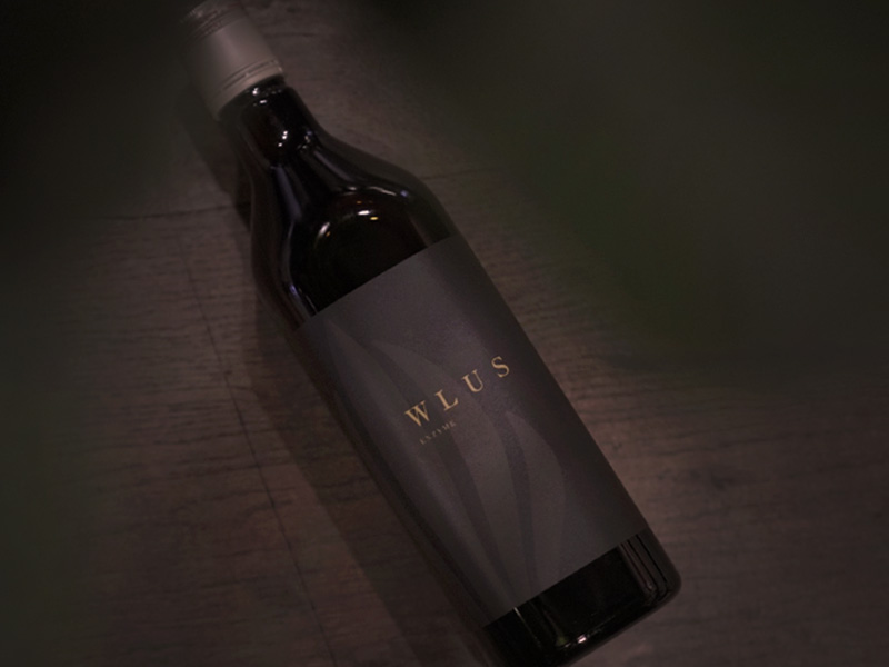 犬 自然食　酵素 ウルス