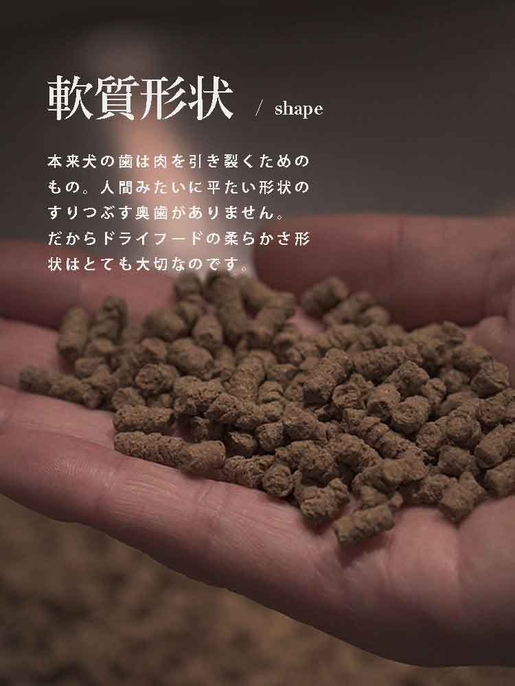 犬の食事　自然食ウルス　酵素