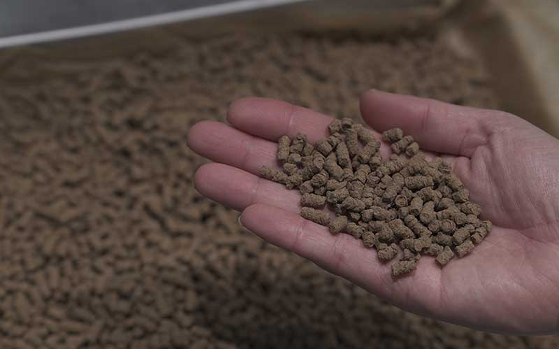 国産ドッグフードJACQUES