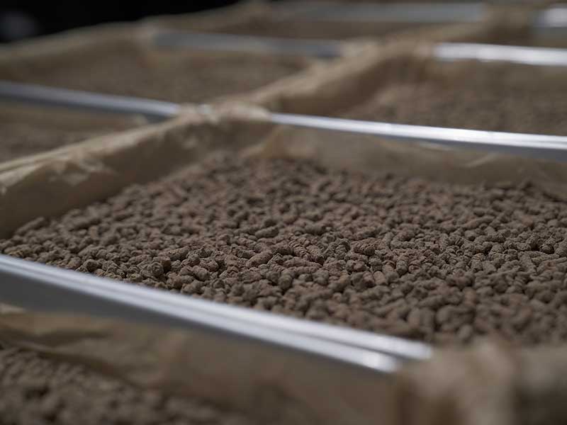 国産ドッグフード