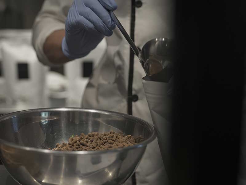 国産ドッグフード製造