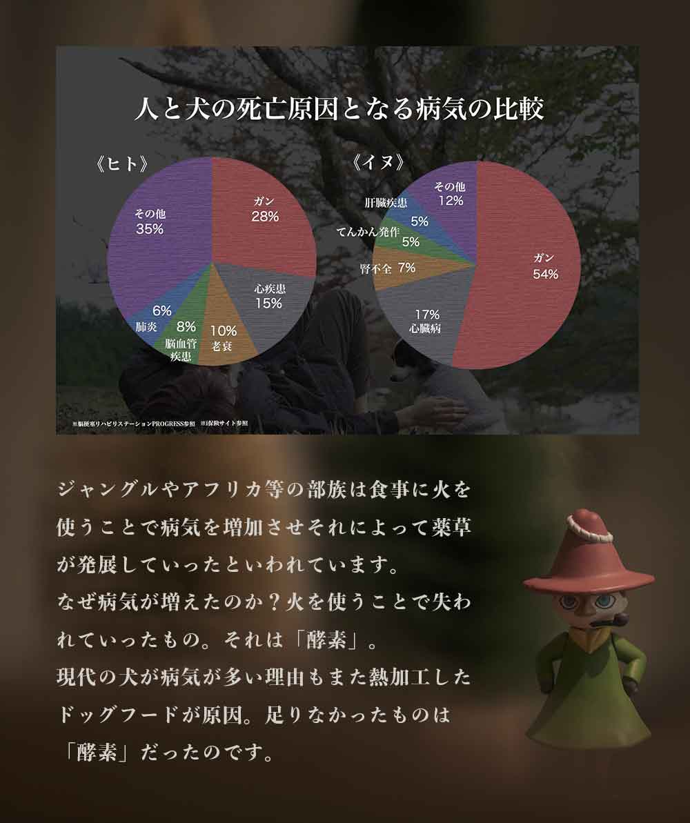 クロム生酵素(犬)