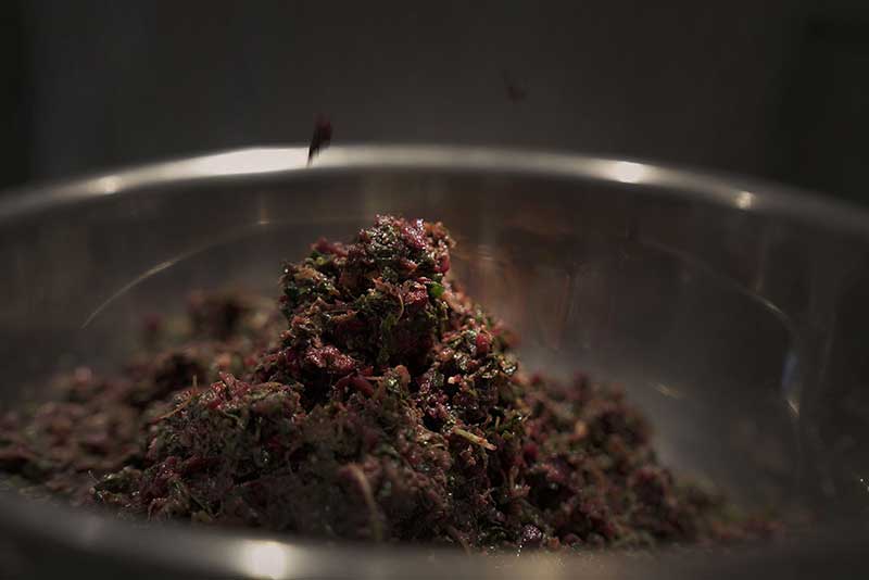 犬の生食ウルス