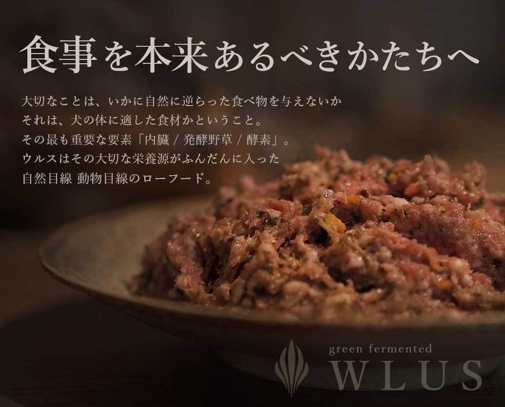 犬の生食ウルス