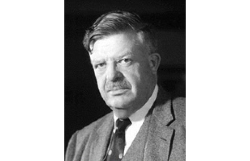 犬の食事（生食）ドッグフード99