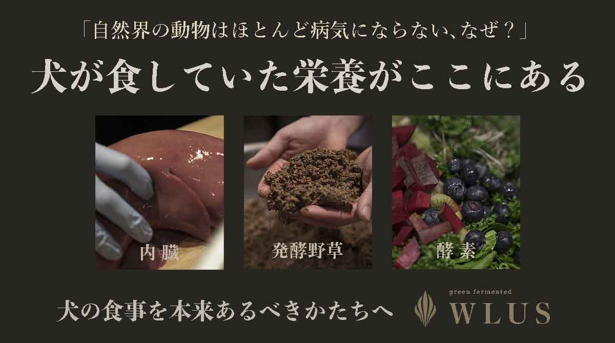 犬の生食ウルス