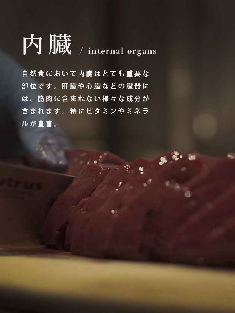 犬の食事　自然食ウルス　内臓
