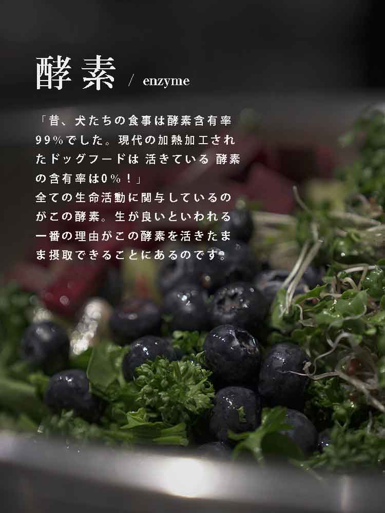 犬の食事　自然食ウルス　酵素