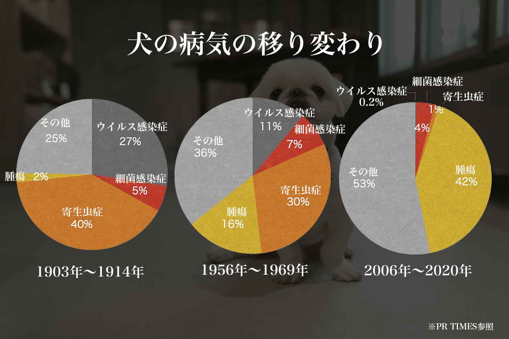 犬は人と違う　自然食ローフードウルス