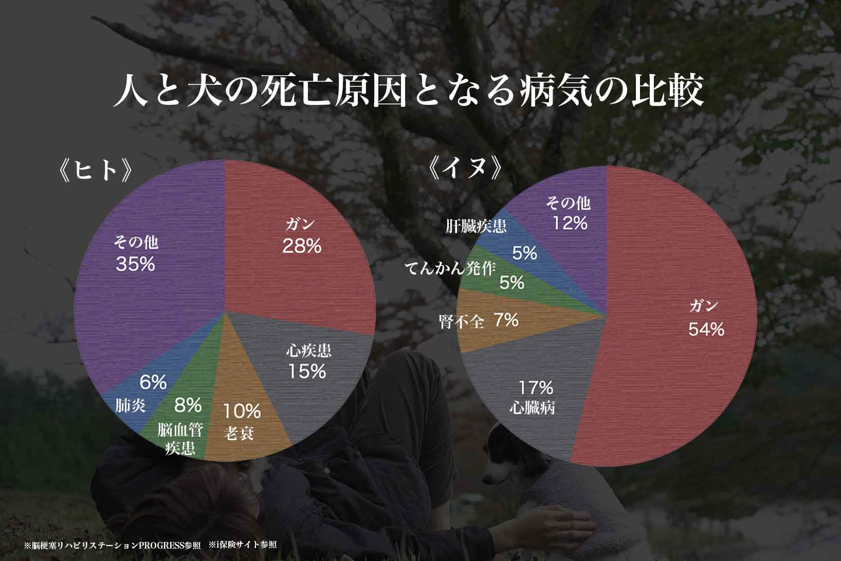 犬は人と違う　自然食ローフードウルス