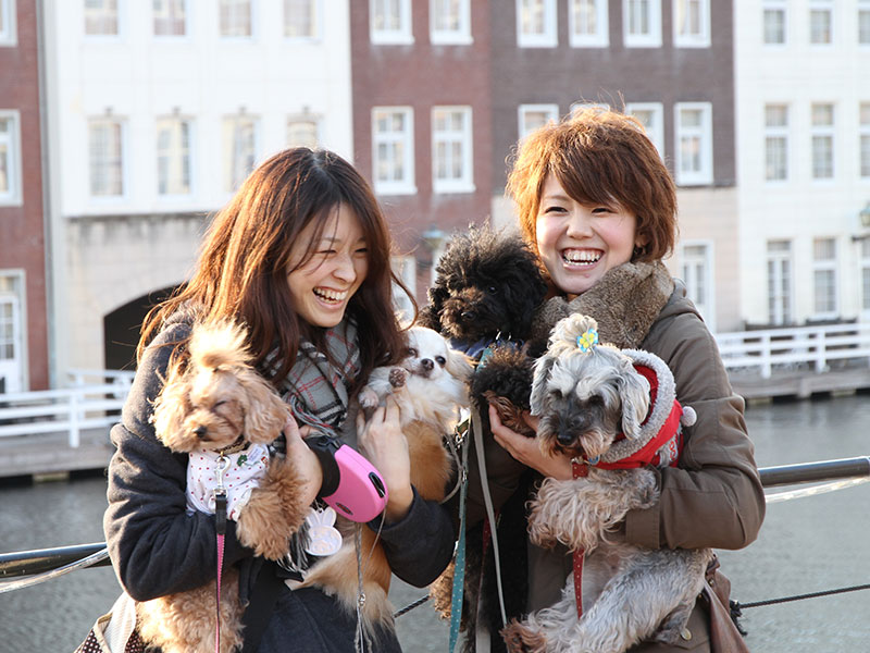 犬の食事（生食）ドッグフード25