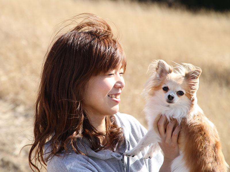 犬の食事（生食）ドッグフード30