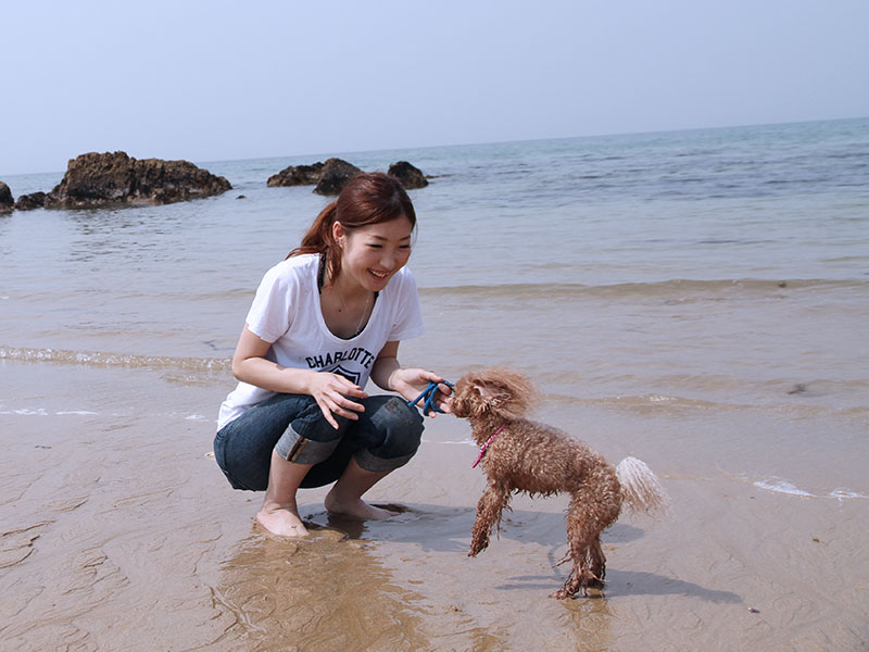 犬の食事（生食）ドッグフード33