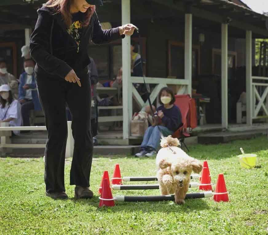 マザーズドッグス