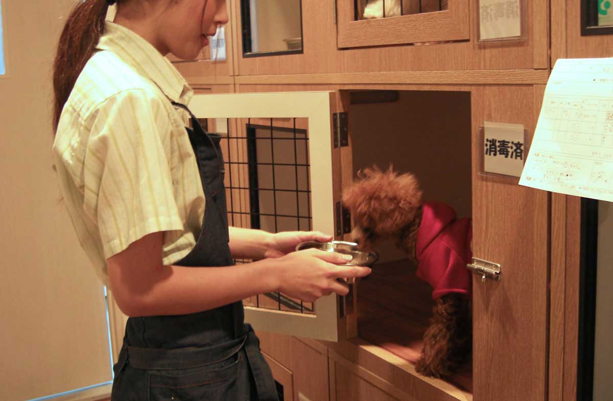 マザーズドッグス