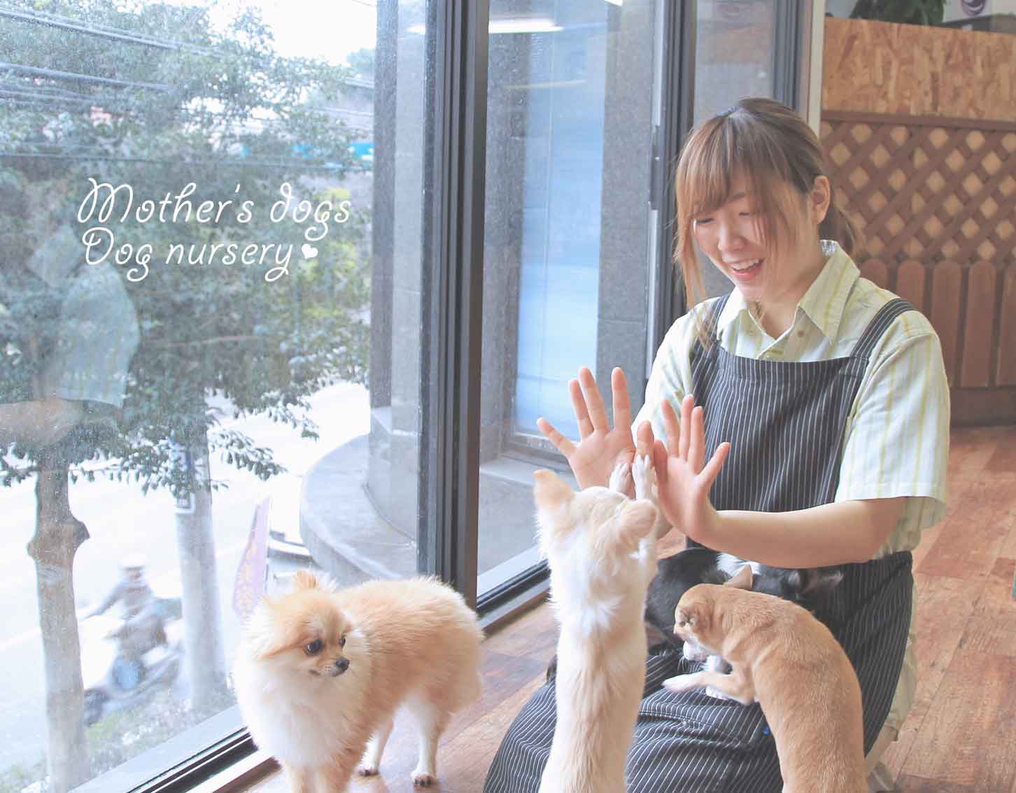 マザーズドッグス