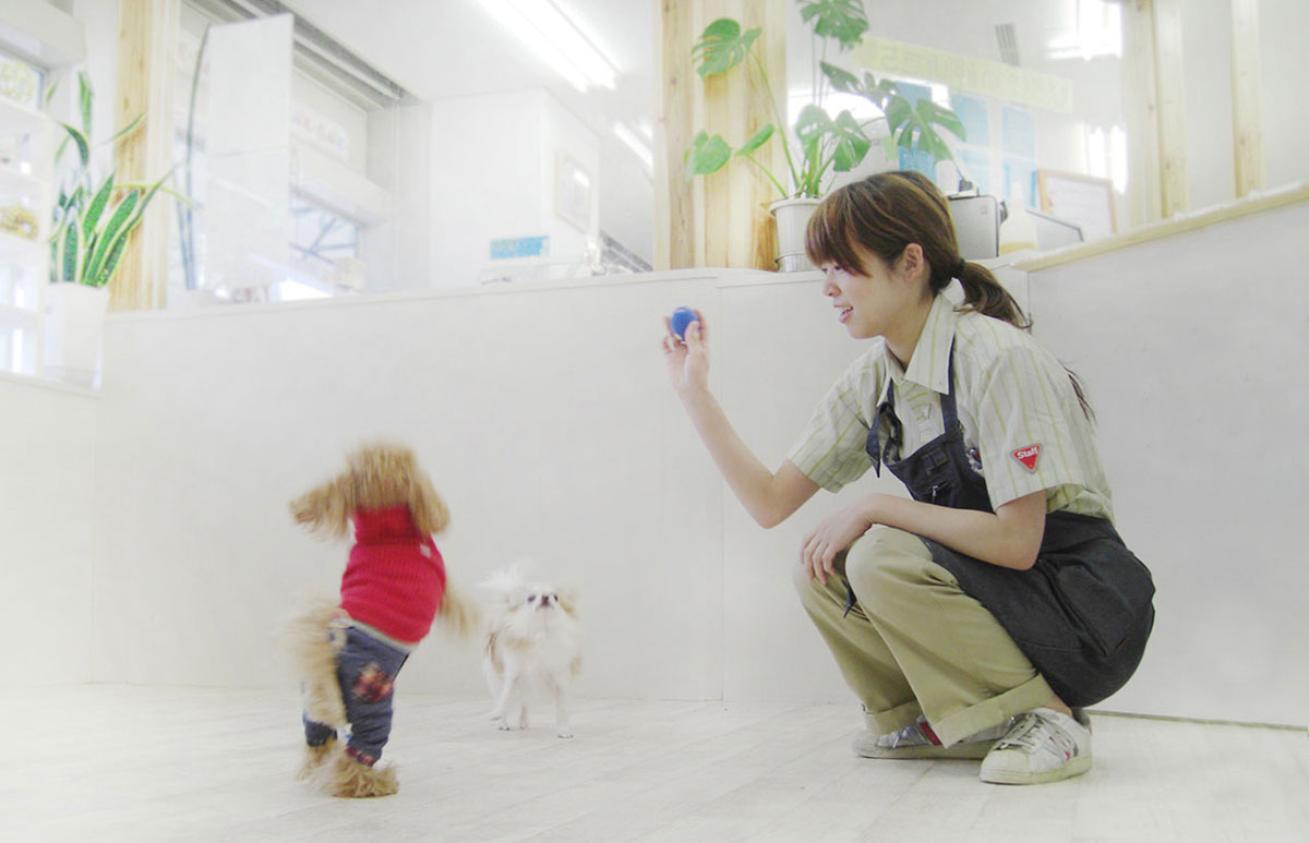 マザーズドッグス