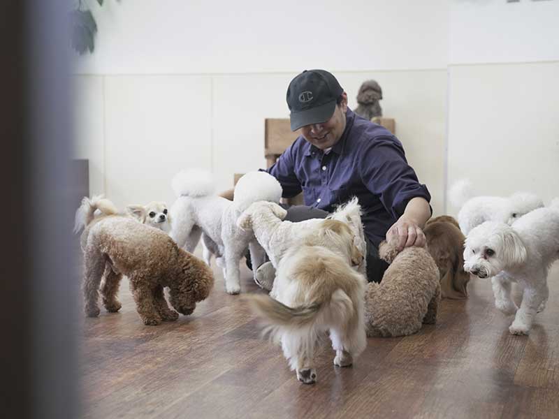 福岡市の犬の保育園マザーズドッグス