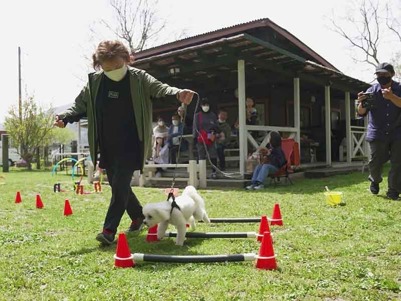 福岡市中央区,犬の保育園マザーズドッグス,犬の幼稚園